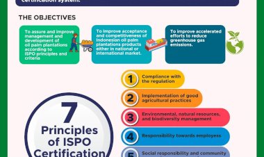 Indonesia Sustainable Palm Oil Certification System