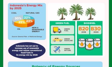 Palm Oil For Renewable Energy