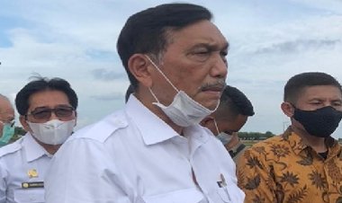 Hasil Audit, Luas Perkebunan Sawit Indonesia 16,8 juta ha, Lebih Luas dari Data yang Tercatat