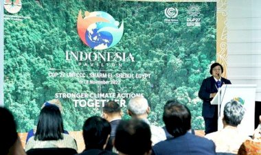 Perhelatan COP-27, Pembuktian Sawit Indonesia Dalam Perubahan Iklim