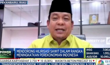 SDM Hingga Teknologi, Kendala Hilirisasi Sawit RI