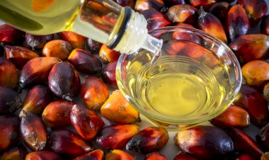 Indonesian Palm Oil on India Market: Sustainable and Reliable