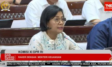 Sri Mulyani Membagi Tiga Kelompok Daerah yang Memperoleh DBH Sawit