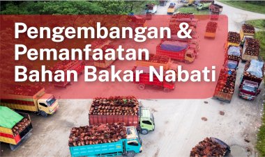 Tentang Program