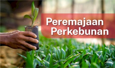Tentang Program