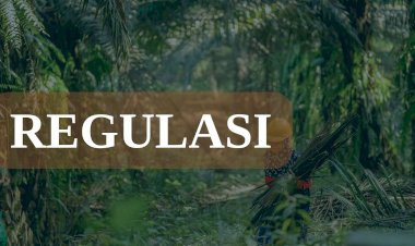 Regulasi