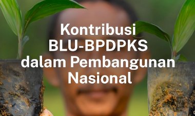 Kontribusi BLU-BPDPKS dalam Pembangunan Nasional