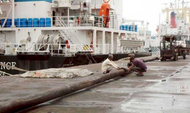 Pangsa Pasar Minyak Sawit di Aljazair Terus Tumbuh, Ini Besarannya..