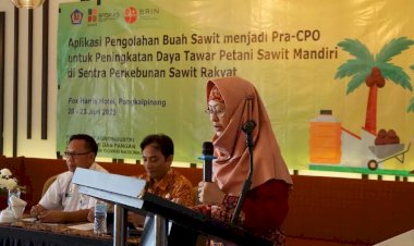BRIN dan BPDPKS Latih Petani Sawit Rakyat Aplikasi Pengolahan Buah Sawit