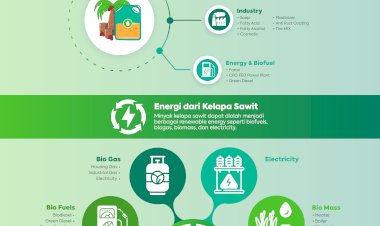 Minyak Sawit dan Potensi Renewable Energy