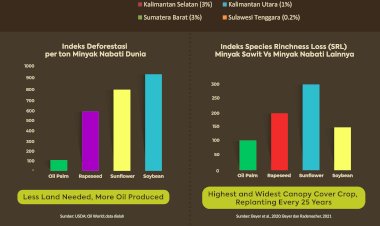 Mengenal Komposisi Produksi CPO Indonesia dan Keberlanjutannya