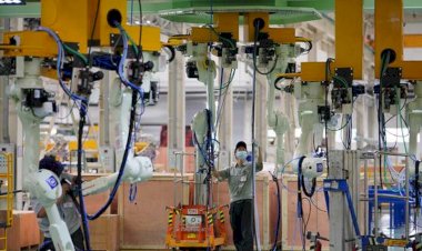 Ekspor Oleokimia Indonesia Diproyeksikan Capai US$ 54 Miliar pada 2030