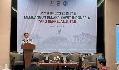 Kabul Wijayanto: Di 2023 Sawit Masih Berkontribusi Bagi Perekonomian Negara, Harga CPO dan TBS Sawit pun Cenderung Stabil