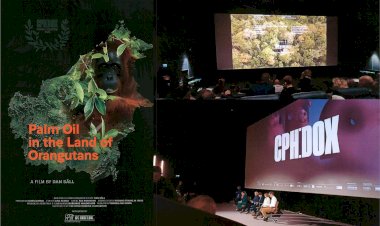 Film Denmark “Palm Oil in The Land of Orangutans” Satwa dan Sawit Bisa Hidup Berdampingan