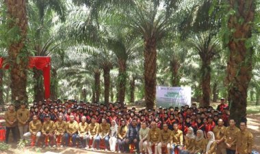 UKT Mahal? Tenang, Ada Beasiswa Sawit