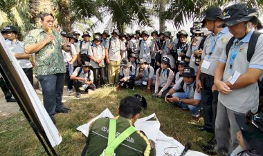 IPB Training Bekerjasama BPDPKS dan DitjenBun Lakukan Pelatihan Teknis Budidaya Bagi 75 Petani Sawit di Sumatera Utara