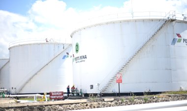 Diolah dari Kelapa Sawit, Manfaat Biodiesel Banyak Tak Disadari di Indonesia