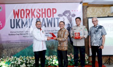 BPDPKS dan Aspekpir Indonesia Bantu Petani Sawit Melalui Budidaya Sapi Pola Siska di Sumsel