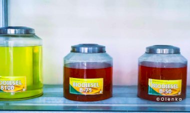 Esensi Biodiesel Terhadap Kesehatan Lingkungan Global