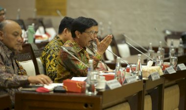 BPDP Laporkan Capaian dan Rencana Aksi 2025 ke Komisi XI DPR RI dan Komite IV DPD RI: Peremajaan Sawit Rakyat 2024 Capai 38.247 Hektare