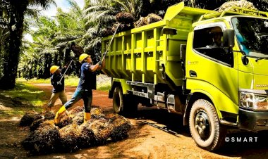 Biomassa Sawit Mendukung Ketahanan Energi Berkelanjutan