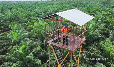 Fungsi Pelestarian Plasma Nutfah oleh Perkebunan Kelapa Sawit
