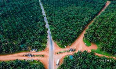 Program PSR Sebagai Upaya Mendukung Keberlanjutan Kelapa Sawit