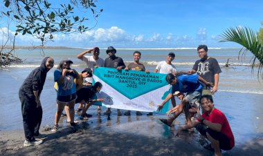 Peduli Lingkungan, UKMK Batik Sawit “Smart Batik” Bersama Pensil Terbang Tanam Ratusan Mangrove di Pantai Baros