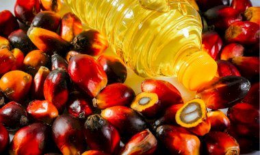 Kandungan Vitamin A dan E pada Minyak Sawit Dapat Mencegah Stunting