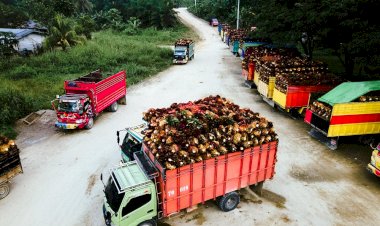 Setidaknya Terdapat 7 Manfaat Implementasi Kebijakan Mandatori Biodiesel di Indonesia