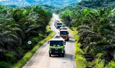 Kontribusi Industri Sawit dalam Pembangunan Pilar Ekonomi dan Sosial Indonesia