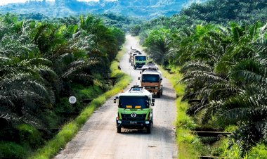 Mencermati Perkebunan Kelapa Sawit Indonesia yang Sangat Strategis!
