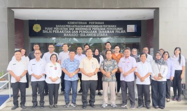 In-Depth Interview Dalam Rangka Penyusunan Kajian Proyeksi Harga Kelapa Nasional : Kolaborasi Strategis Menuju Ketahanan Industri Kelapa