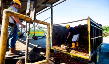 Strategi Hadapi Dampak Kebijakan DFP oleh Uni Eropa Terhadap Komoditas Kelapa Sawit Indonesia