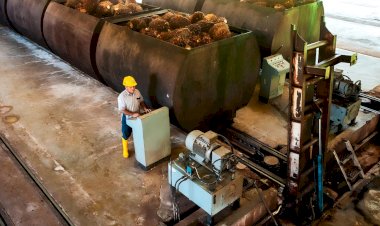 Peran Strategis Industri Sawit dalam Penurunan Emisi Gas Rumah Kaca
