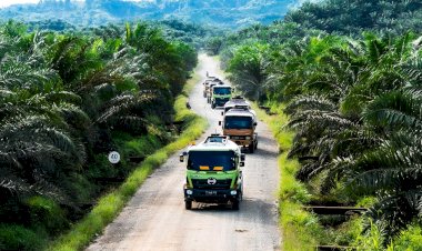 Solusi Konkret Turunkan Emisi GRK Global Melalui Bioenergi Sawit