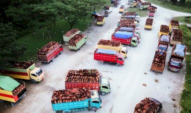 Kontribusi Minyak Sawit di Kawasan Amerika Utara dan Manfaat yang Dibagikan