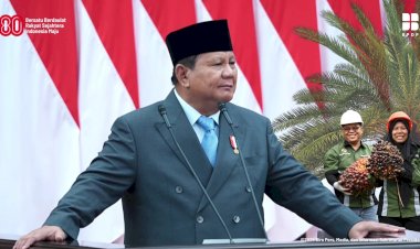 BPDP Dukung Langkah Pemerintah Jaga Stabilitas Pasar dan Perkuat Tata Kelola Sawit