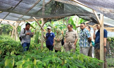 BPDP Gelar Kegiatan Koordinasi untuk mendukung Program Peremajaan Kakao Rakyat (PAKAR) di Provinsi Sulawesi Tengah