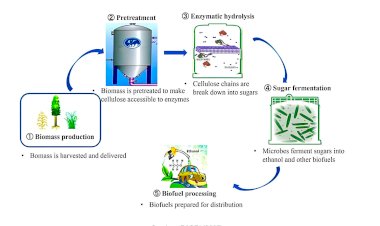 Mengembangkan Biohidrokarbon Kelapa Sawit di Indonesia