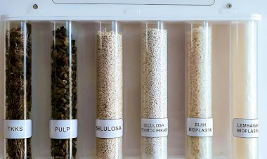 Mendorong Pengembangan Bioplastik Sawit di Indonesia