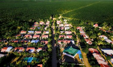 Peran Strategis Industri Sawit dalam Pembangunan Ekonomi Daerah