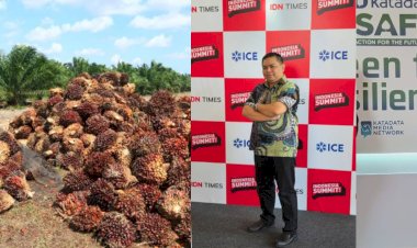 Hulu hingga Hilir: Mewujudkan Sawit yang Berkelanjutan