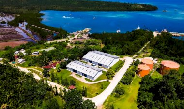 Kawasan ASEAN Sebagai Pusat Minyak Sawit Dunia