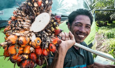 Peningkatan Kompetensi SDM di Industri Sawit Nasional