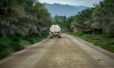 Peran Strategis Perkebunan Kelapa Sawit Kurangi Emisi Gas Rumah Kaca