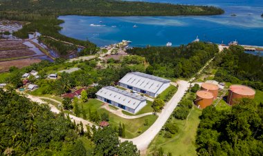 Penggunaan Produk Kelapa Sawit Kurangi Emisi Gas Rumah Kaca