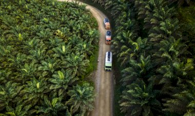 Dampak Positif Program Mandatori Biodiesel bagi Perekonomian