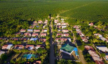 Minyak Sawit sebagai Solusi atas Tantangan Keberlanjutan Global