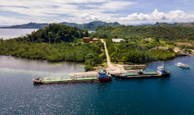 Kawasan Afrika sebagai Pangsa Ekspor Minyak Sawit Indonesia